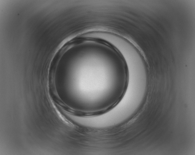 X0000081350845200701111453