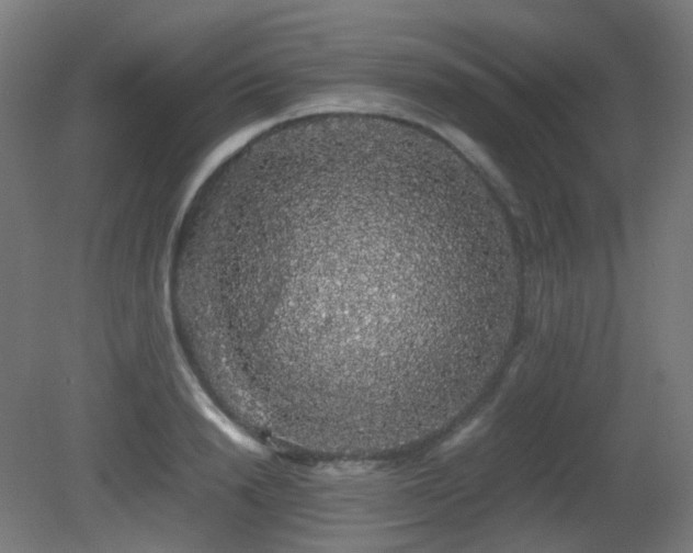 X0000081350846200701111453