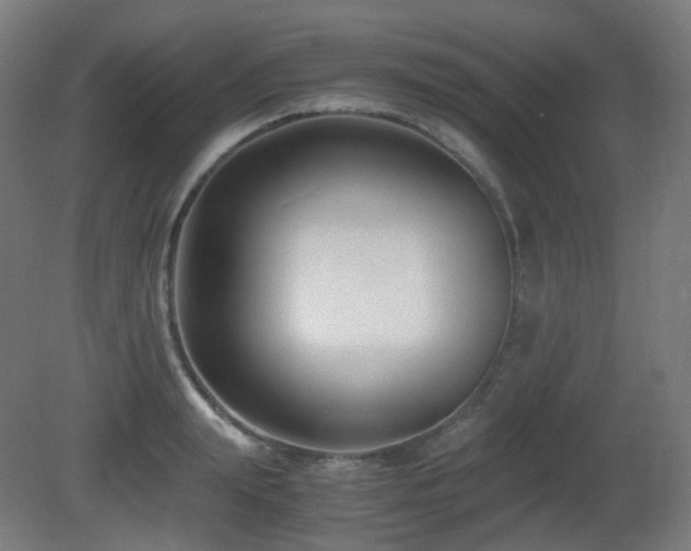 X0000081350847200701111453