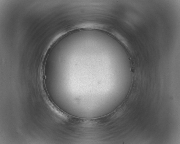 X0000081350848200701111453