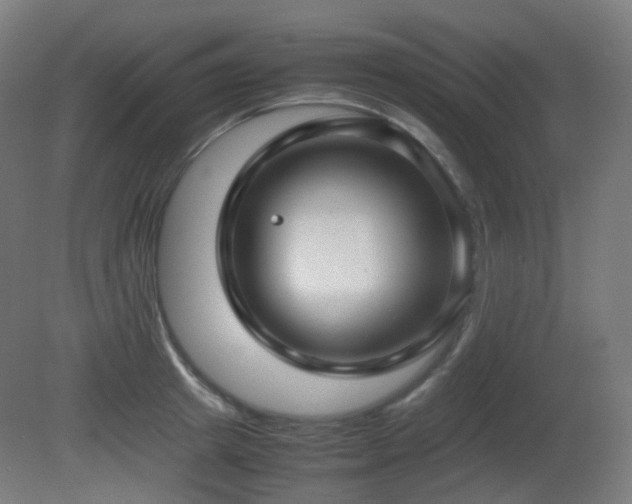 X0000081350849200701111453