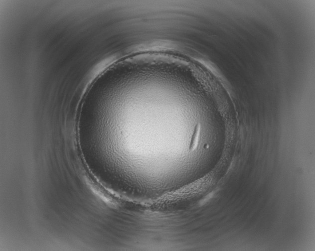 X0000081350850200701111453