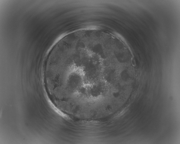X0000081350851200701111453