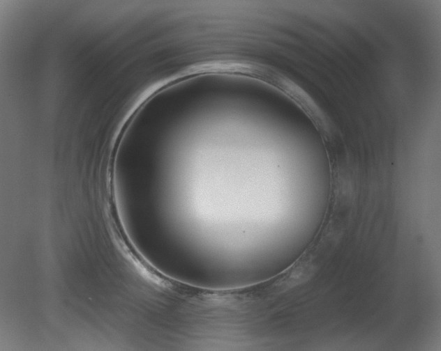X0000081350852200701111453