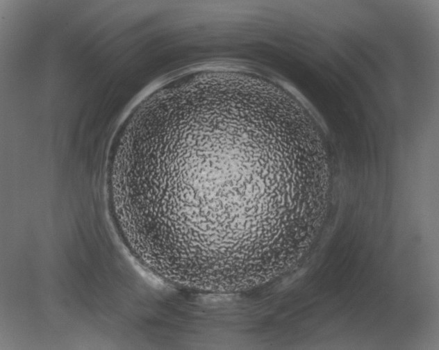 X0000081350853200701111453