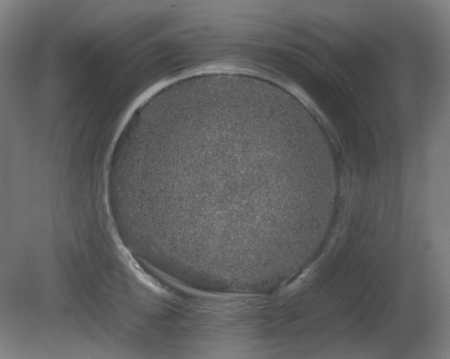 X0000081350854200701111453