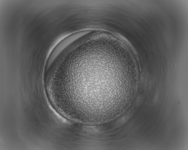 X0000081350855200701111453