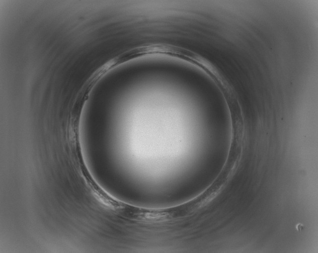 X0000081350857200701111453