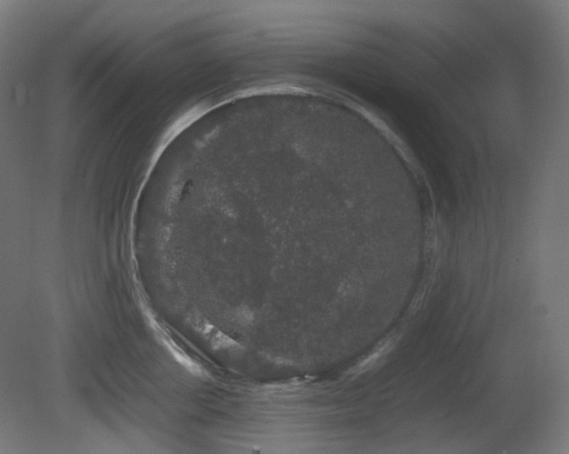 X0000081350858200701111453