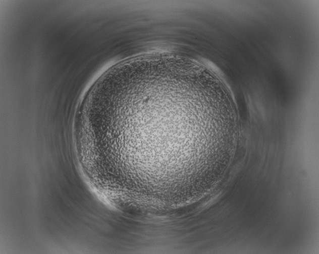 X0000081350859200701111453
