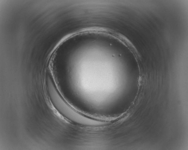 X0000081350860200701111453