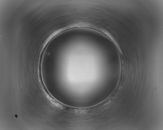 X0000081350861200701111453