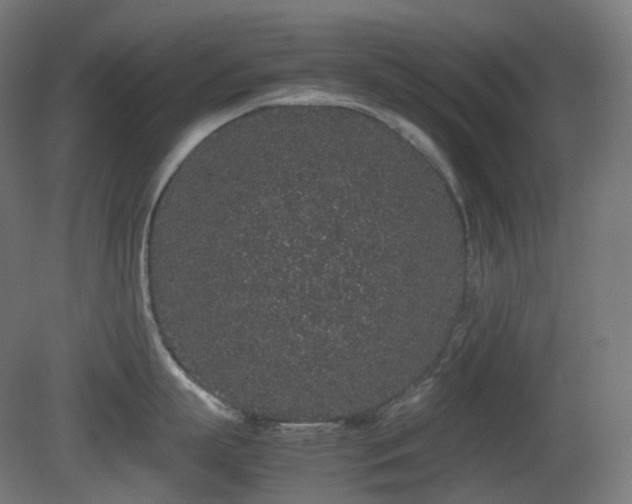 X0000081350863200701111453