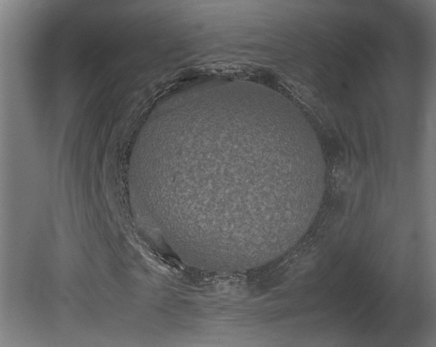 X0000081350865200701111452