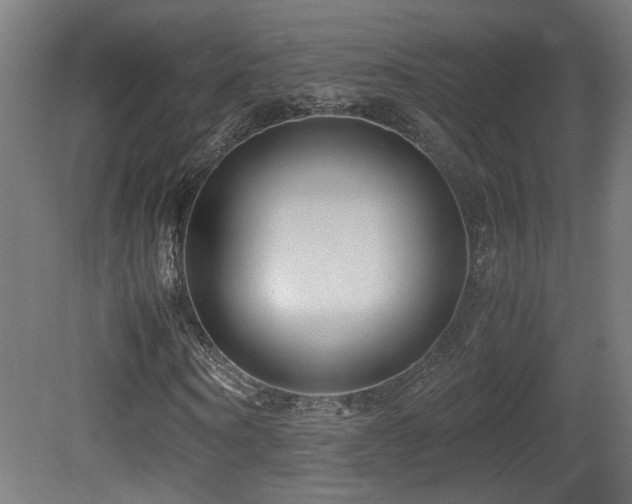X0000081350866200701111452
