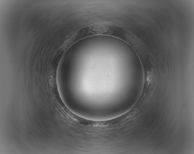X0000081350867200701111452