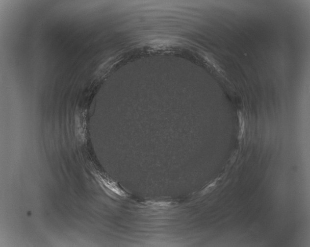 X0000081350868200701111452
