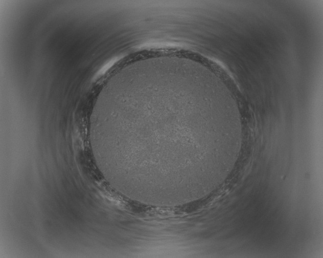 X0000081350871200701111452