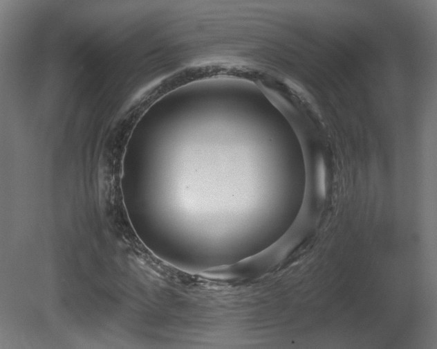 X0000081350872200701111452