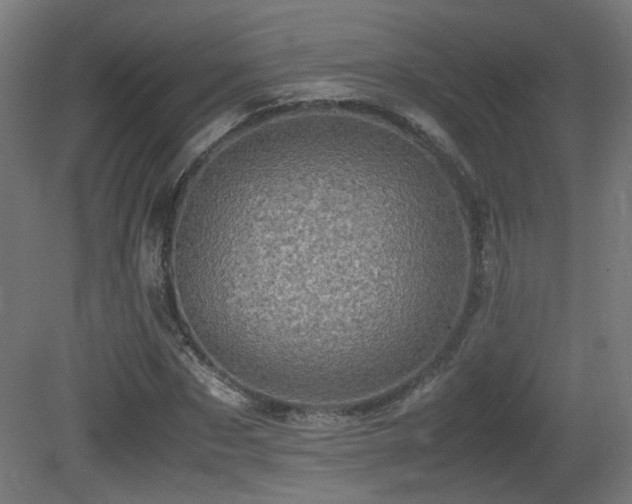 X0000081350873200701111452