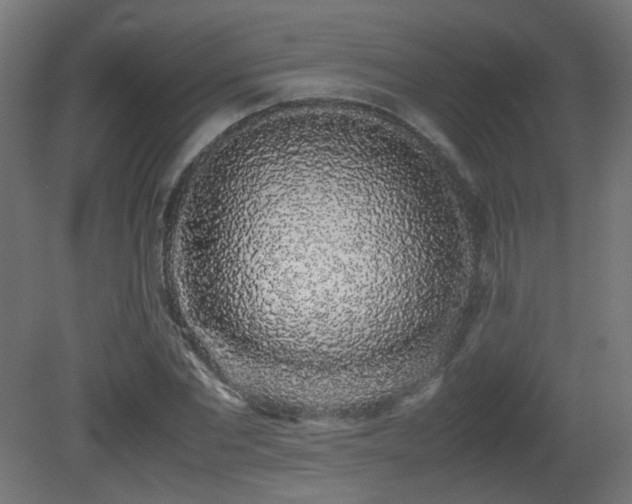 X0000081350877200701111452
