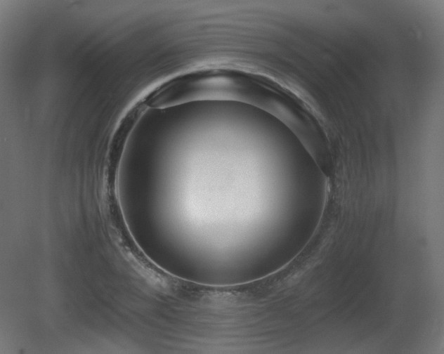 X0000081350880200701111452