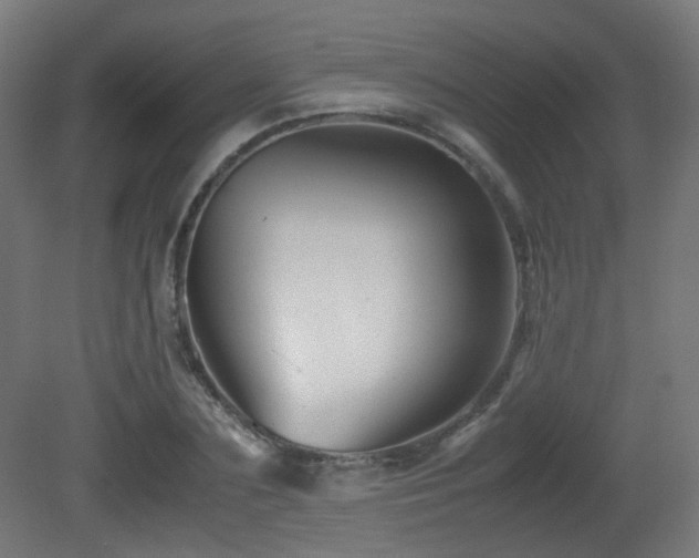 X0000081350883200701111452