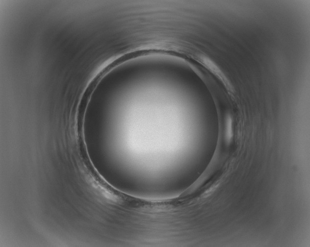 X0000081350884200701111452