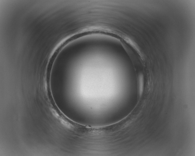 X0000081350888200701111452