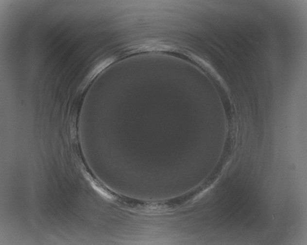 X0000081350889200701111452