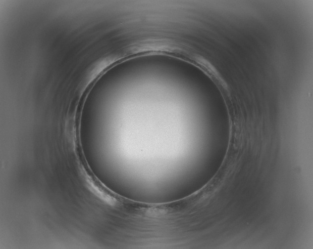 X0000081350890200701111452