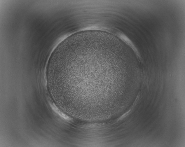 X0000081350892200701111452