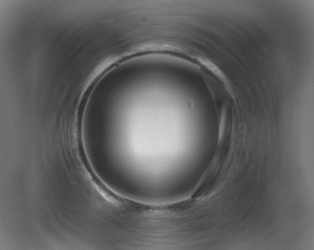 X0000081350894200701111452