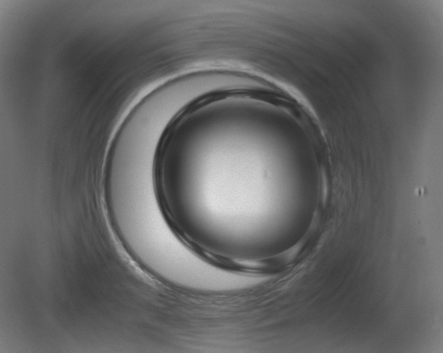 X0000081350895200701111452