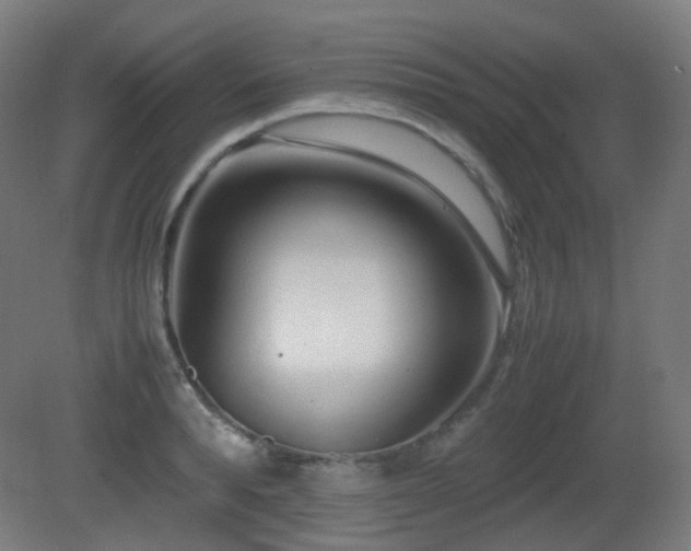 X0000081350896200701111452