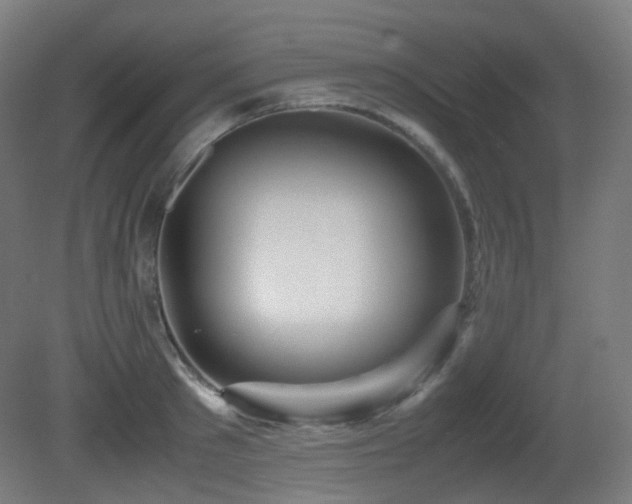 X0000081350897200701111452