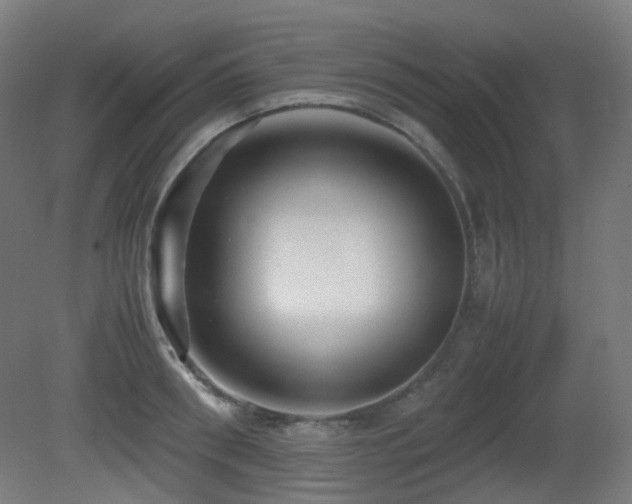 X0000081350898200701111452