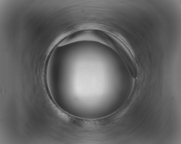 X0000081350901200701111452
