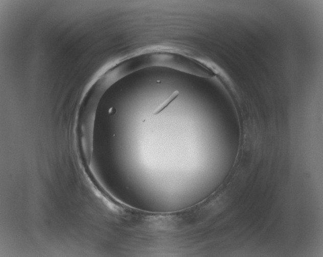 X0000081350902200701111452
