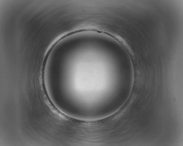 X0000081350904200701111452