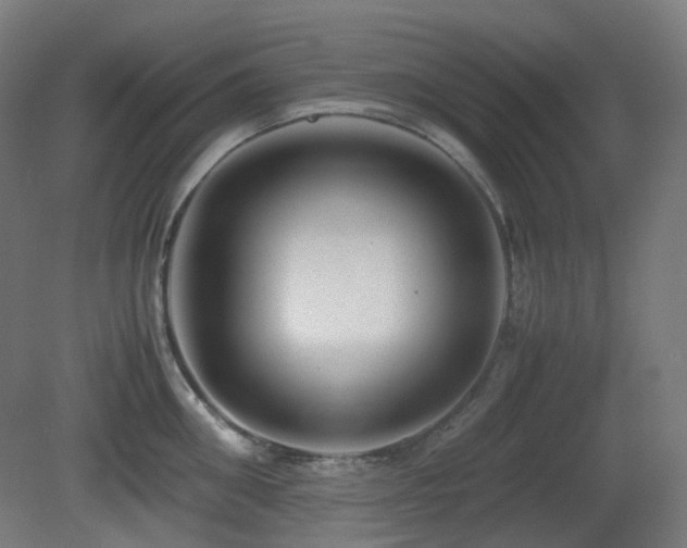 X0000081350906200701111452