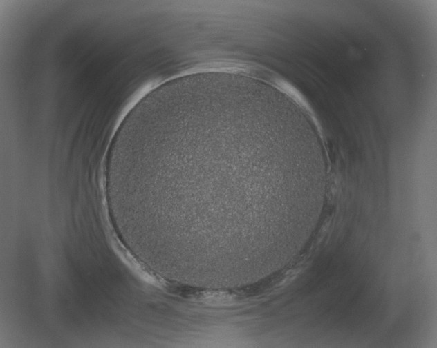 X0000081350907200701111452