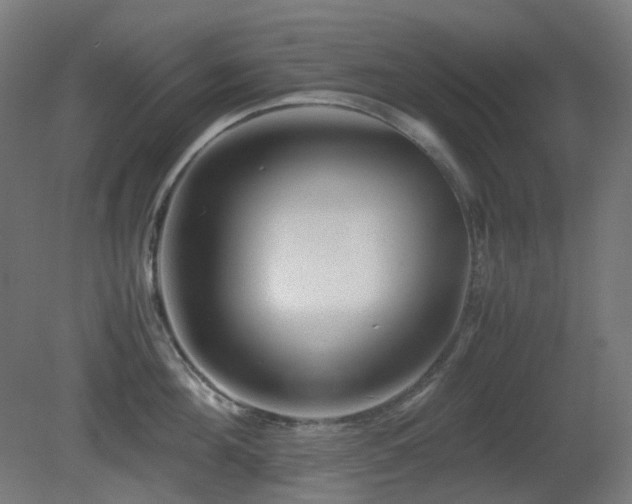 X0000081350908200701111452