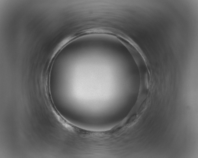 X0000081350909200701111452