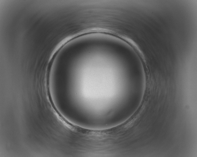 X0000081350910200701111452
