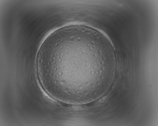 X0000081350911200701111452