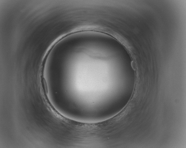 X0000081350912200701111452
