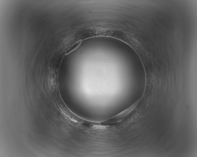 X0000081350914200701111451