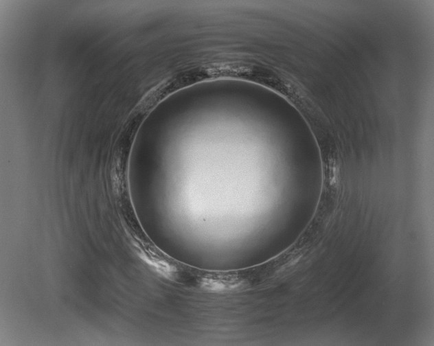 X0000081350915200701111451