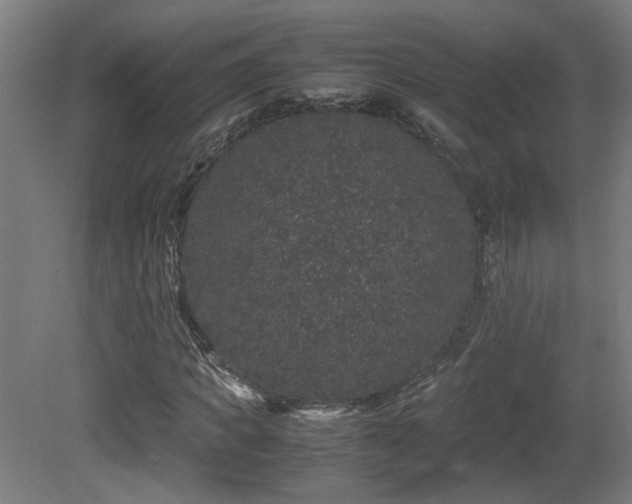 X0000081350917200701111451